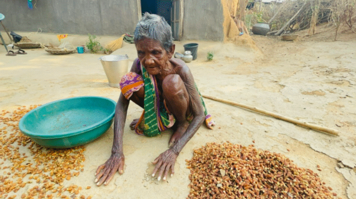 Digital Welfare Divide